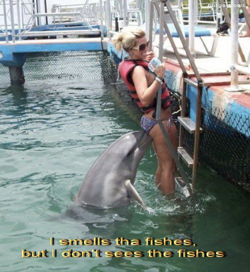 smell da fishes.jpg (79 KB)